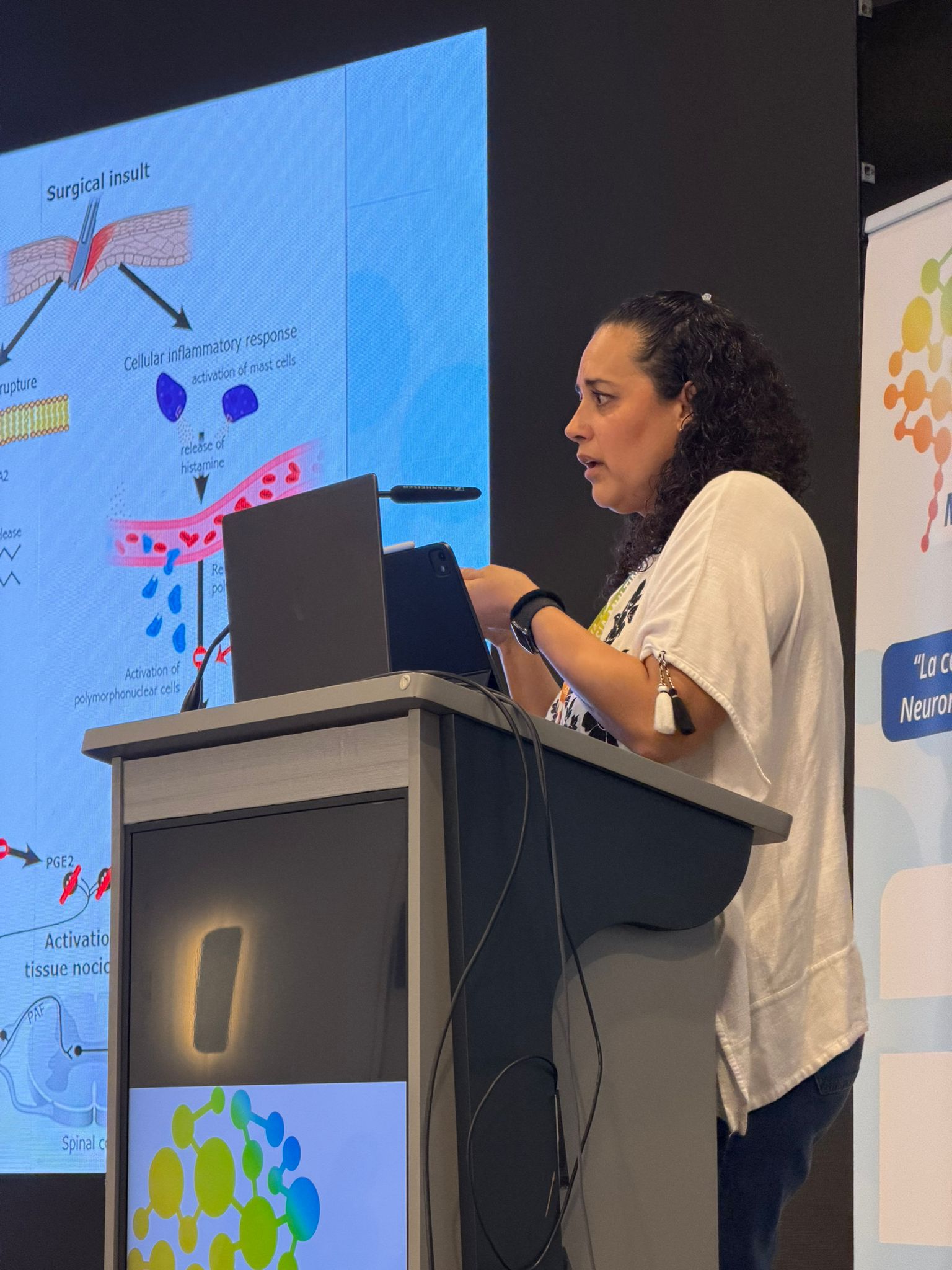 Profesora presentando — AMM 2025