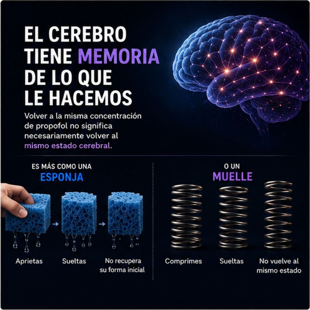 🧠 El cerebro tiene “memoria”: ¿por qué la misma concentración de propofol no produce siempre el mismo efecto?